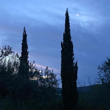 Casa Gallinera Benissiva ภายนอก รูปภาพ