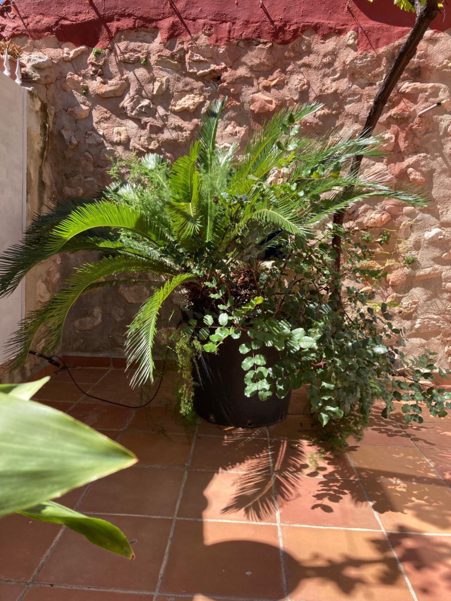 Casa Gallinera Benissiva ภายนอก รูปภาพ